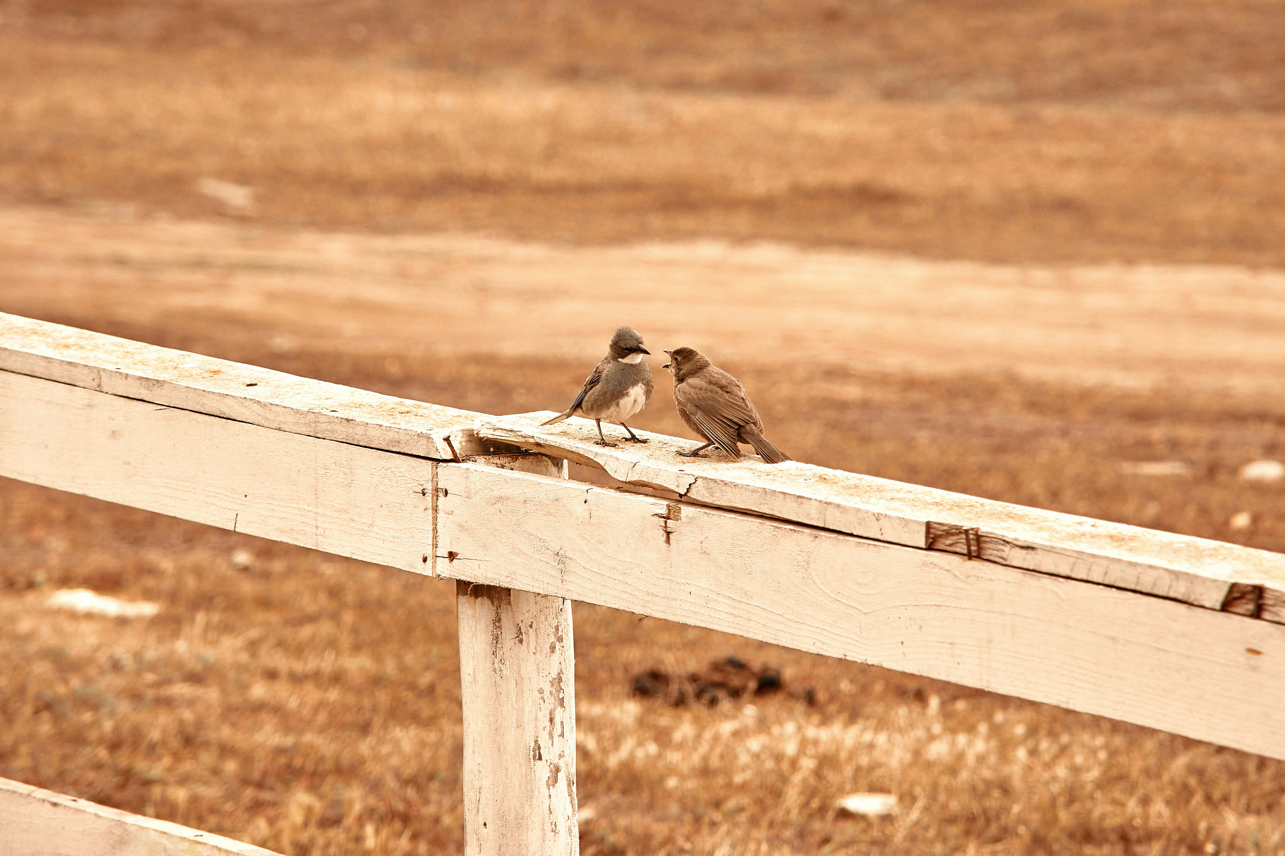 What Is Permaculture And Why Students Should Care
