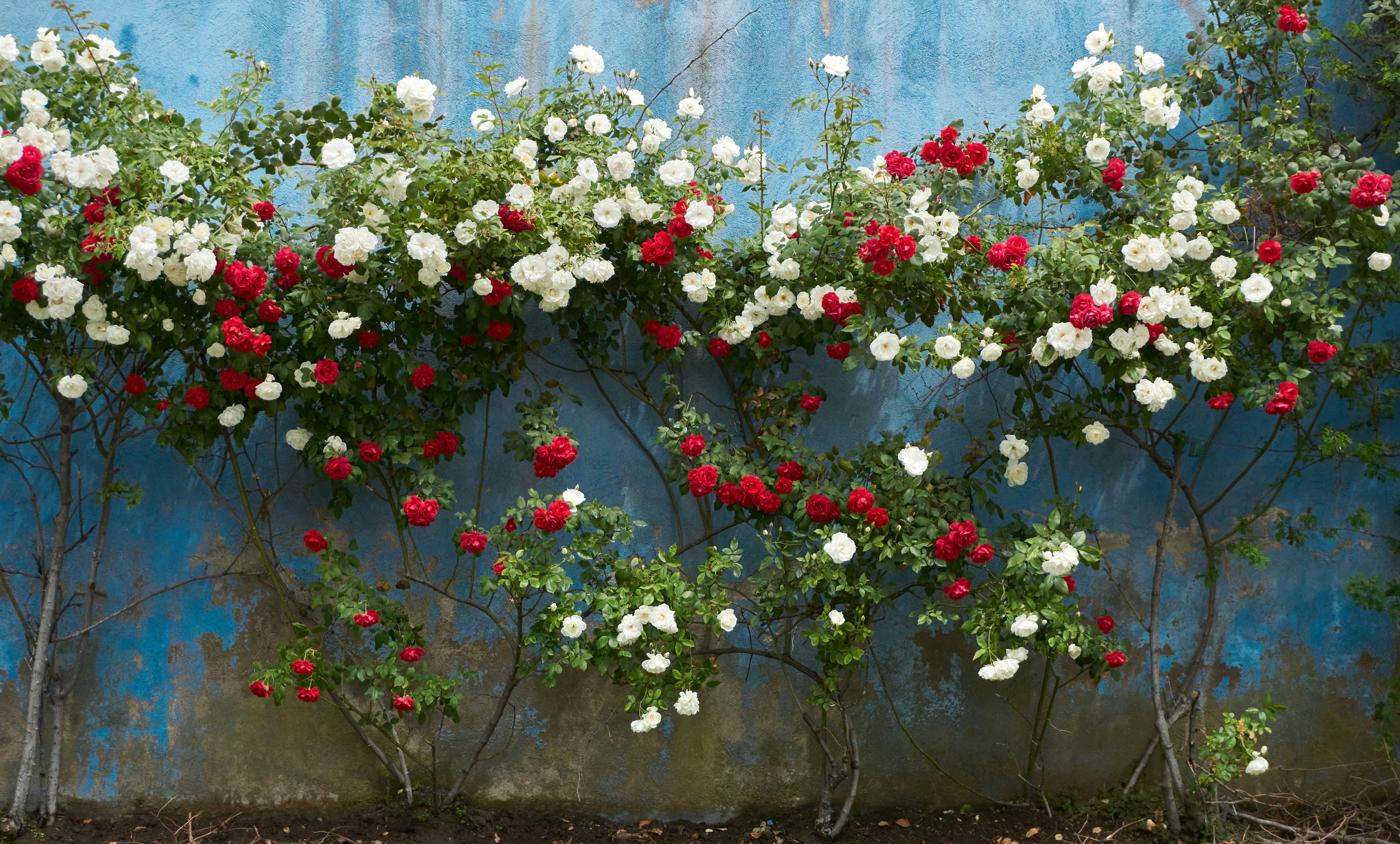 The Science Behind Climate Change