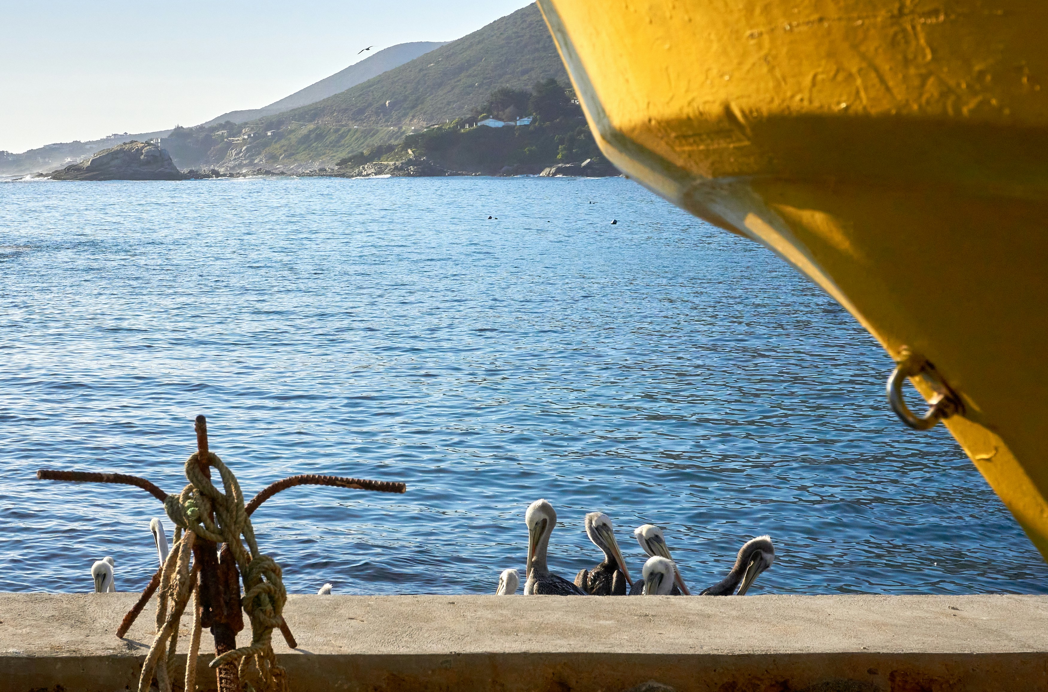 The Rise Of Plant-Based Student Lifestyles