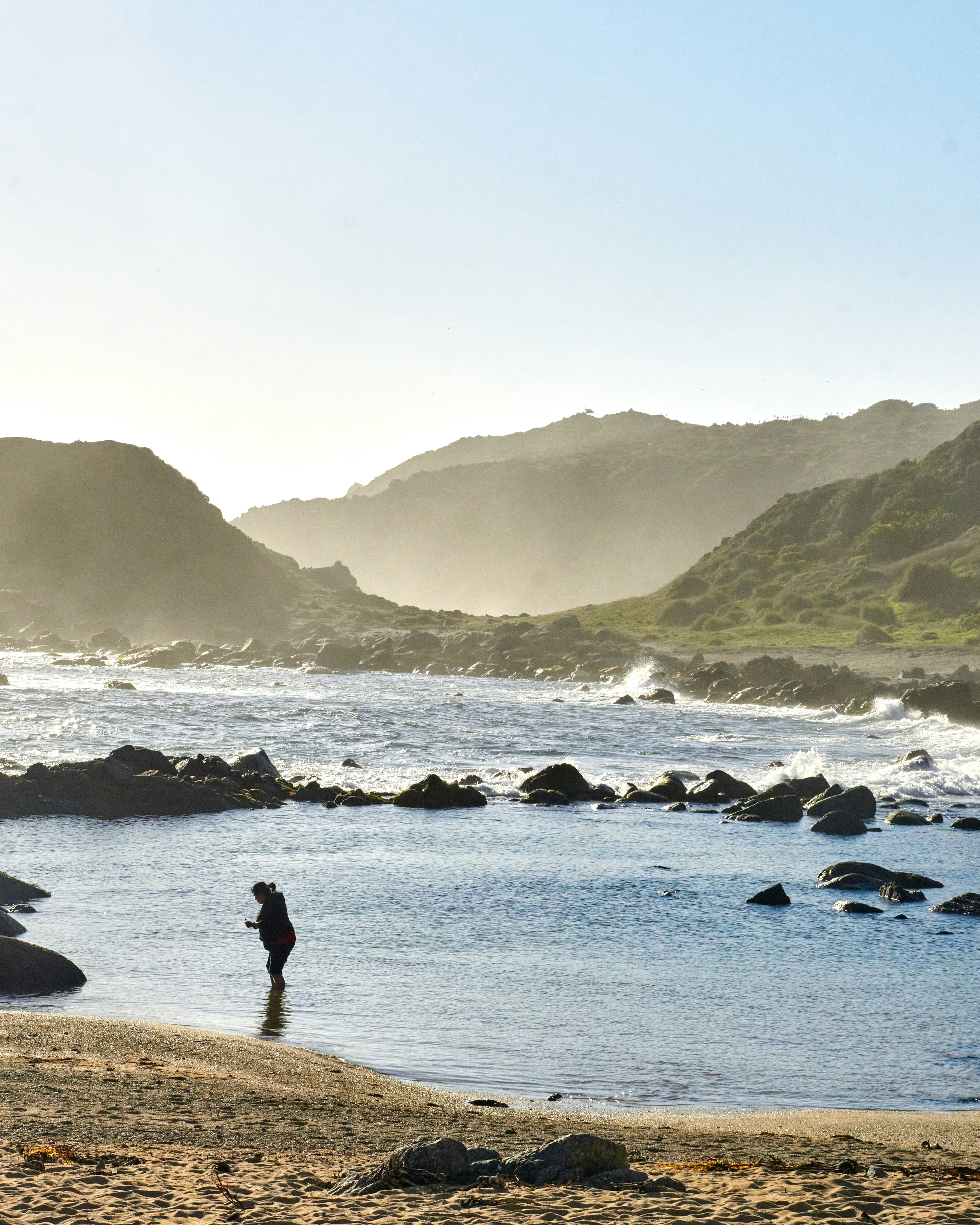 How Students Can Help Reduce Deforestation