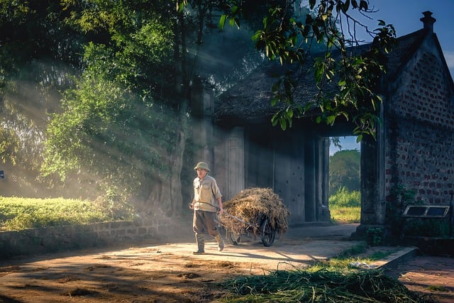 How To Use Public Transport Sustainably